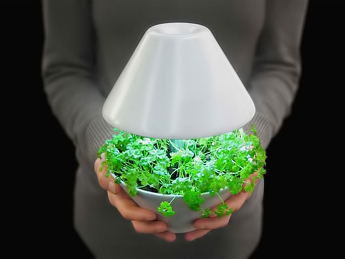 Свет для комнатных растений